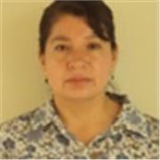 Clases en línea matemáticas y física